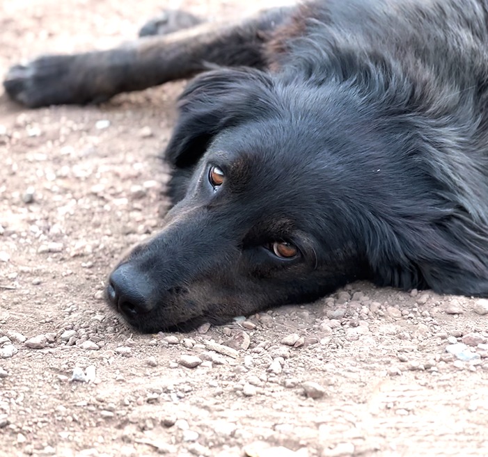 #SeniBekleyenBiriVar