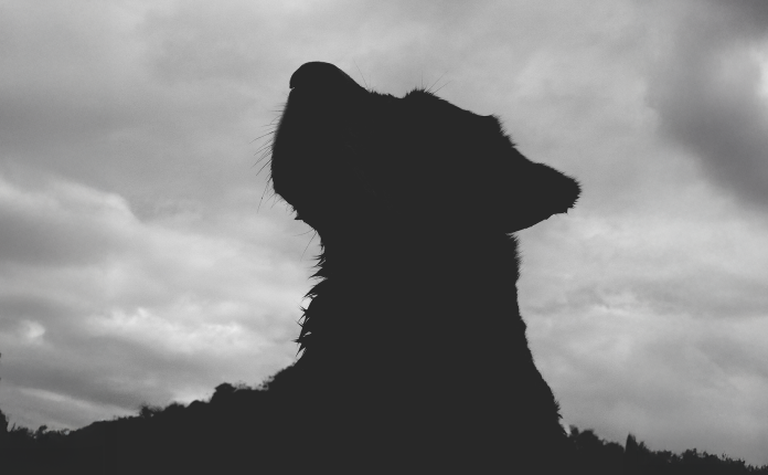 “Tehlike Arz Eden Irklar” Uygulaması ve Irk Temelli Yasaklamalar: Bilimsel, Etik ve Hukuki Bir Değerlendirme