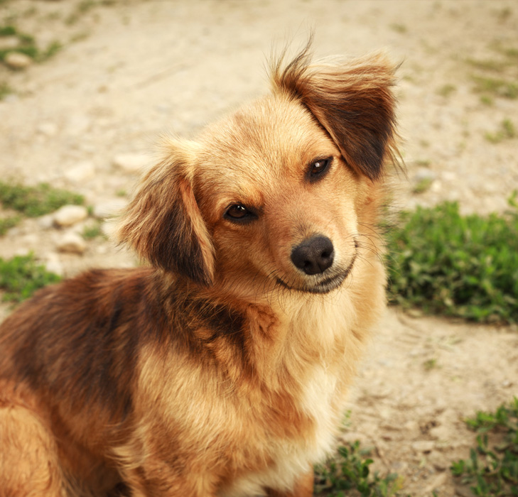 Birlikte daha güçlüyüz, sen de gönüllü ol!