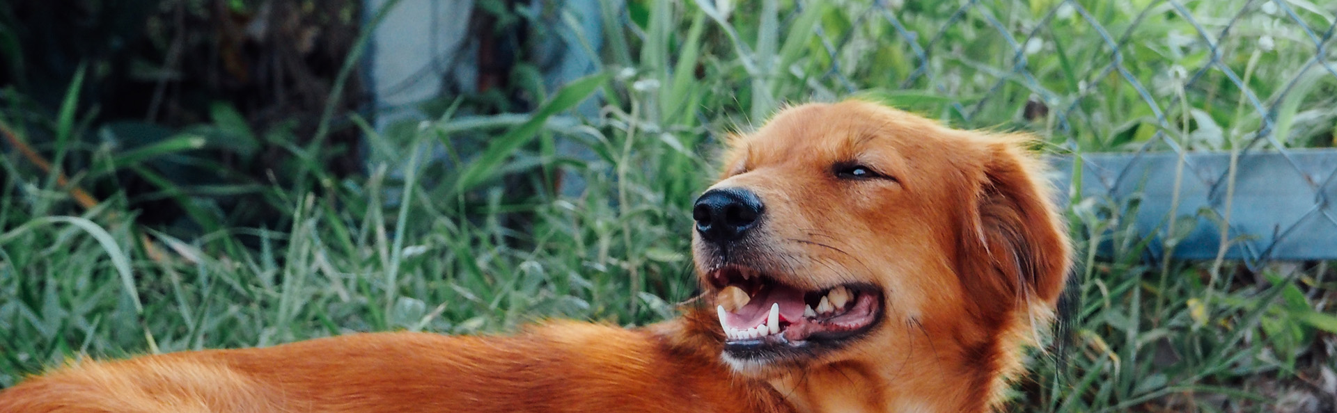 Birlikte daha güçlüyüz, sen de gönüllü ol!