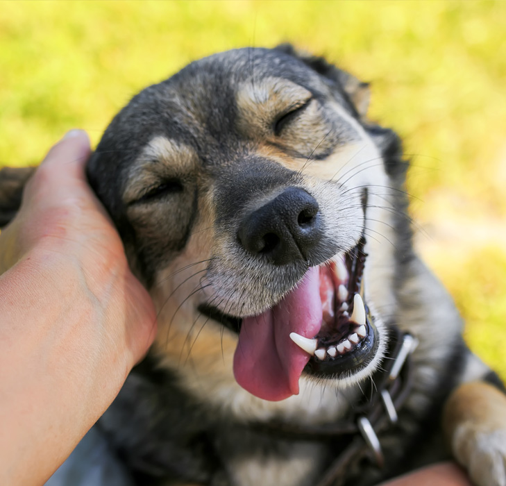 Geçici Yuva, Kalıcı Fark