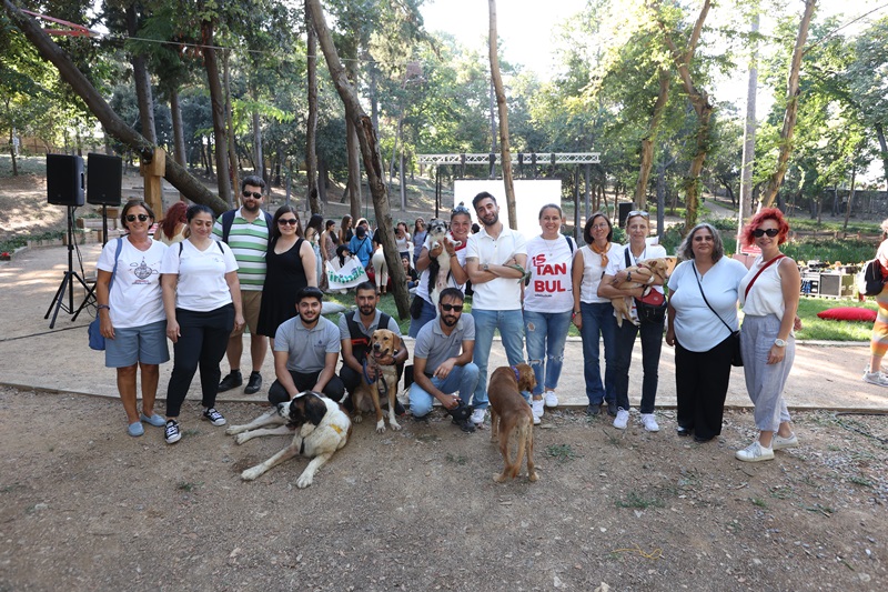 Koç Topluluğu Çalışanları, Sokak Hayvanlarıyla Ortak Bir Yaşam Kültürü için SemtPati Fest'te Buluştu